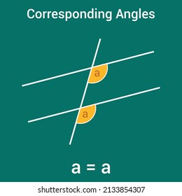 Angles Parallel Lines Corresponding Angles Stock Vector (Royalty Free ...