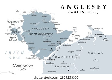 Anglesey and Holy Island, Wales, UK, gray political map. County of the Isle of Anglesey, bordering Gwynedd across Menai Strait, with largest town Holyhead and administrative center Llangefni. Vector