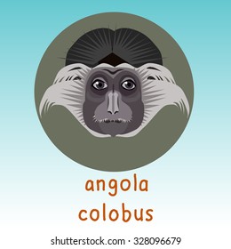 Angola Colobus Monkey