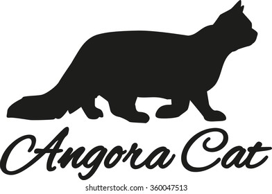 Angora cat with breed name