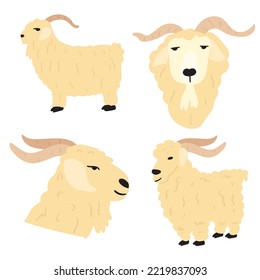 Angora goat. Collection of hand drawn flat vector illustrations. 