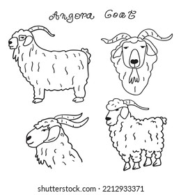 Angora goat. Hand drawn vector illustrations. Set of black colors icons on white background. 