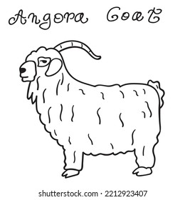 Angora goat. Outline vector illustration on white background.