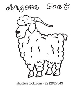 Angora goat. Vector outline simple illustration on white background. 