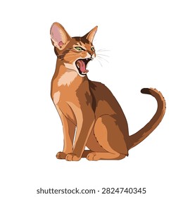 Angry Abyssinian Cat Hissing with Open Mouth and Sharp Teeth Vector Illustration on White Background