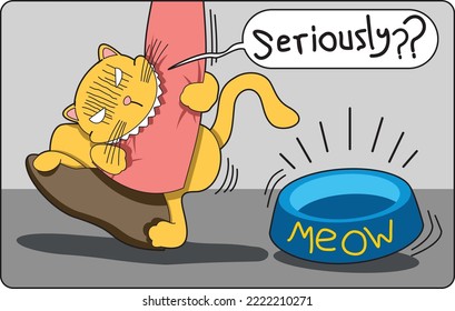 angry adorable cat looks so funny