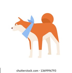 Angry or aggressive Akita Inu with bared teeth. Furious dog of Japanese breed growling isolated on white background. Daily life of domestic animal or pet. Flat cartoon colorful vector illustration.