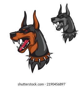 Angry and aggressive doberman dog mascot. University or college sport team angry watch dog mascot vector character. Barking and roaring doberman god in collar with metal spikes