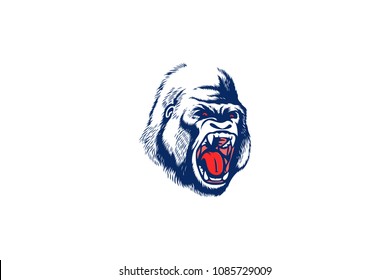 Angry Aggressive Gorilla is Roaring