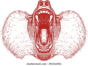 Angry baboon head