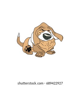 Angry basset hound