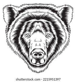 Angry Bear Face Black and White Vector Illustration