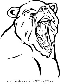 Angry bear face, line art illustrations design 