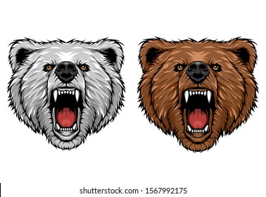 Angry Bear Face White and Brown Vector Illustration