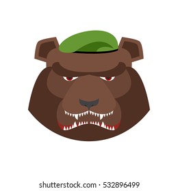 Angry bear in green beret. Aggressive Grizzly head. Wild animal muzzle isolated. Forest predator
