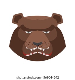Angry bear in green beret. Aggressive Grizzly head. Wild animal muzzle isolated. Forest predator
