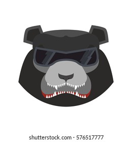 Angry bear in green beret. Evil baribal. Aggressive Grizzly head. Wild animal muzzle isolated. Forest predator