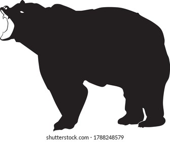 angry bear growls in the wild