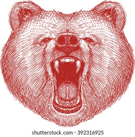 Angry bear head