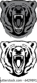 Angry Bear Head