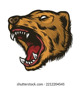 angry bear head cartoon hand drawing