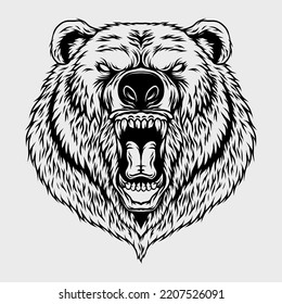 angry bear head vector illustration