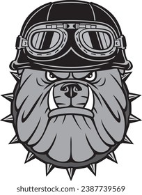 Angry Biker Bulldog Head with Motorcycle Helmet with Goggles. Vector Illustration.