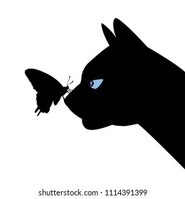 Angry black cat and butterfly his nose  
Vector illustration isolated white background