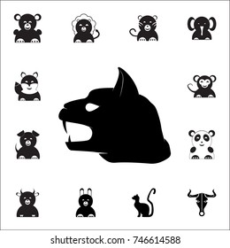 Angry Black Witch Cat icon. Set of animal icons. You can use in web or app icons on white background