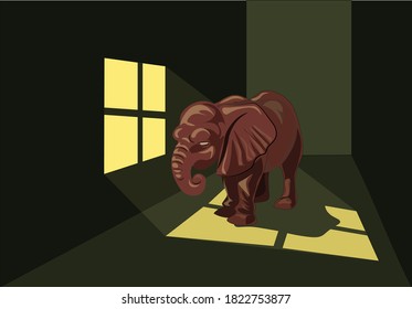 angry brown elephant stands alone in dark room with light window