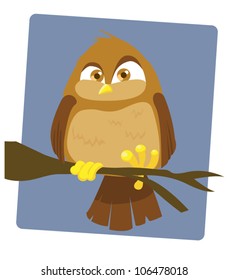 An Angry Brown Owl sitting on a Branch
