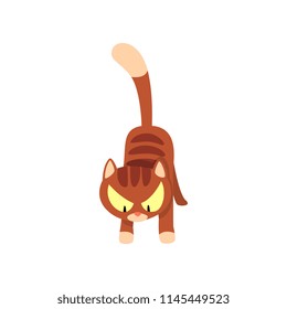 Angry brown striped cat cartoon character vector Illustration on a white background