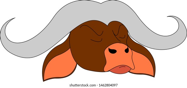 Búfalo enojado, ilustración, vector sobre fondo blanco.