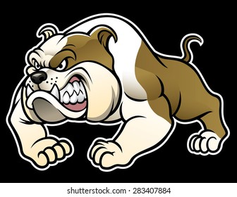 angry bulldog