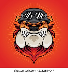 Angry bulldog biker vector illustration