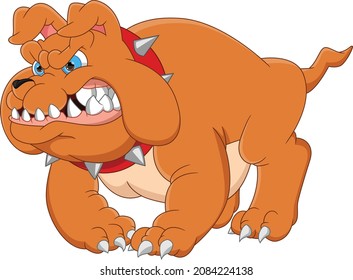 angry bulldog cartoon isolated on white background