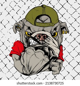 Angry bulldog clenching his fists mascot of a skatepark. Skater bulldog with a red snapback and piercings inside a coat of arms with a fence in the background. Skateboarding illustration concept.