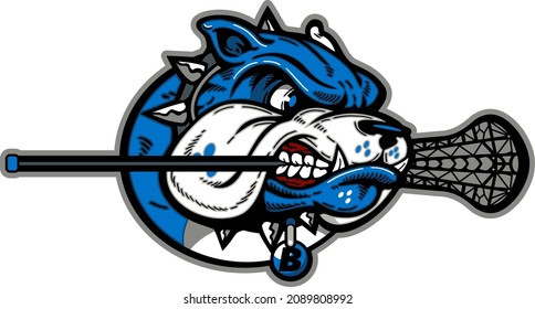 angry bulldog mascot biting a lacrosse stick for school, college or league