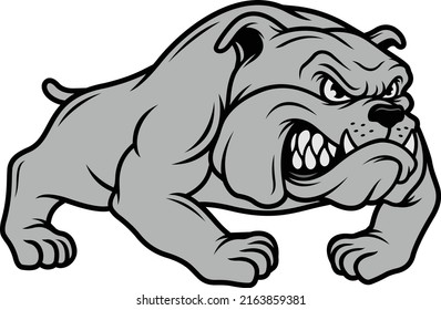 ANGRY BULLDOG VECTOR ILLUSTRATION DESIGN