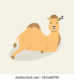 Angry camel mascot logo design illustration