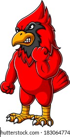 Angry cardinal bird cartoon of illustration