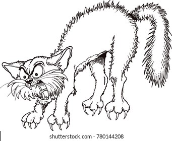 Angry cartoon  cat