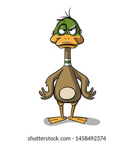 Angry cartoon duck. Hand draw vector illustration. 