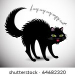 angry cat