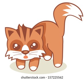 Angry Cat