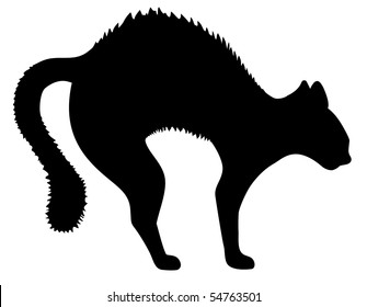 "angry Black Cat" Images, Stock Photos & Vectors | Shutterstock