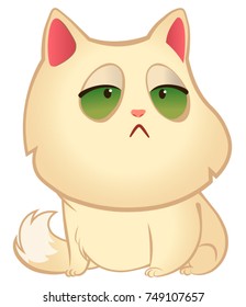 Angry cat