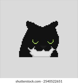 Angry cat, animal meme pixel art