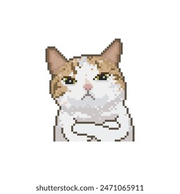 Angry cat with arms crossed, pixel art meme