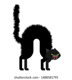Angry cat. Attacker pet. Home Animal bully vector  